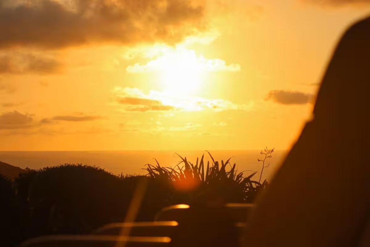 Room At Raglans Travellers Rest Coastal Retreat エクステリア 写真